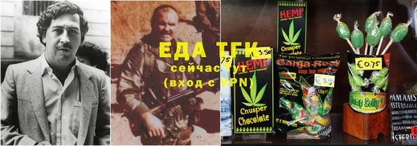 эйфоретик Алзамай