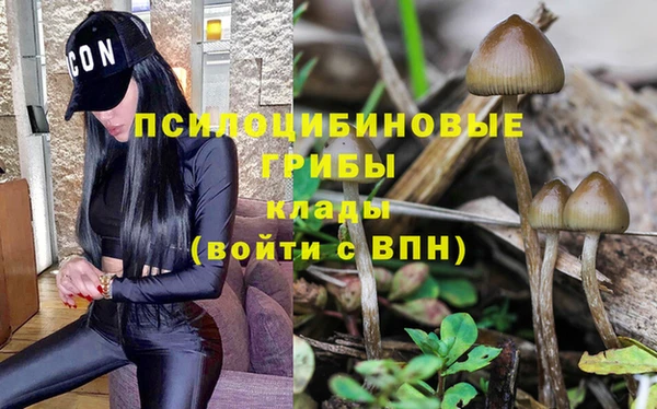 героин Алексин