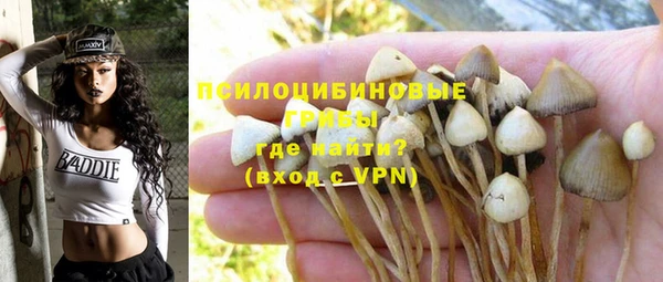 эйфоретик Алзамай