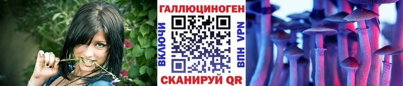мега как войти  закладка  Ардатов  Галлюциногенные грибы Magic Shrooms 